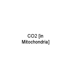 CO2 [in Mitochondria]